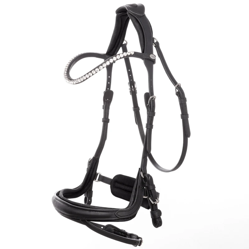 bridle CALIANO english nb. with flash