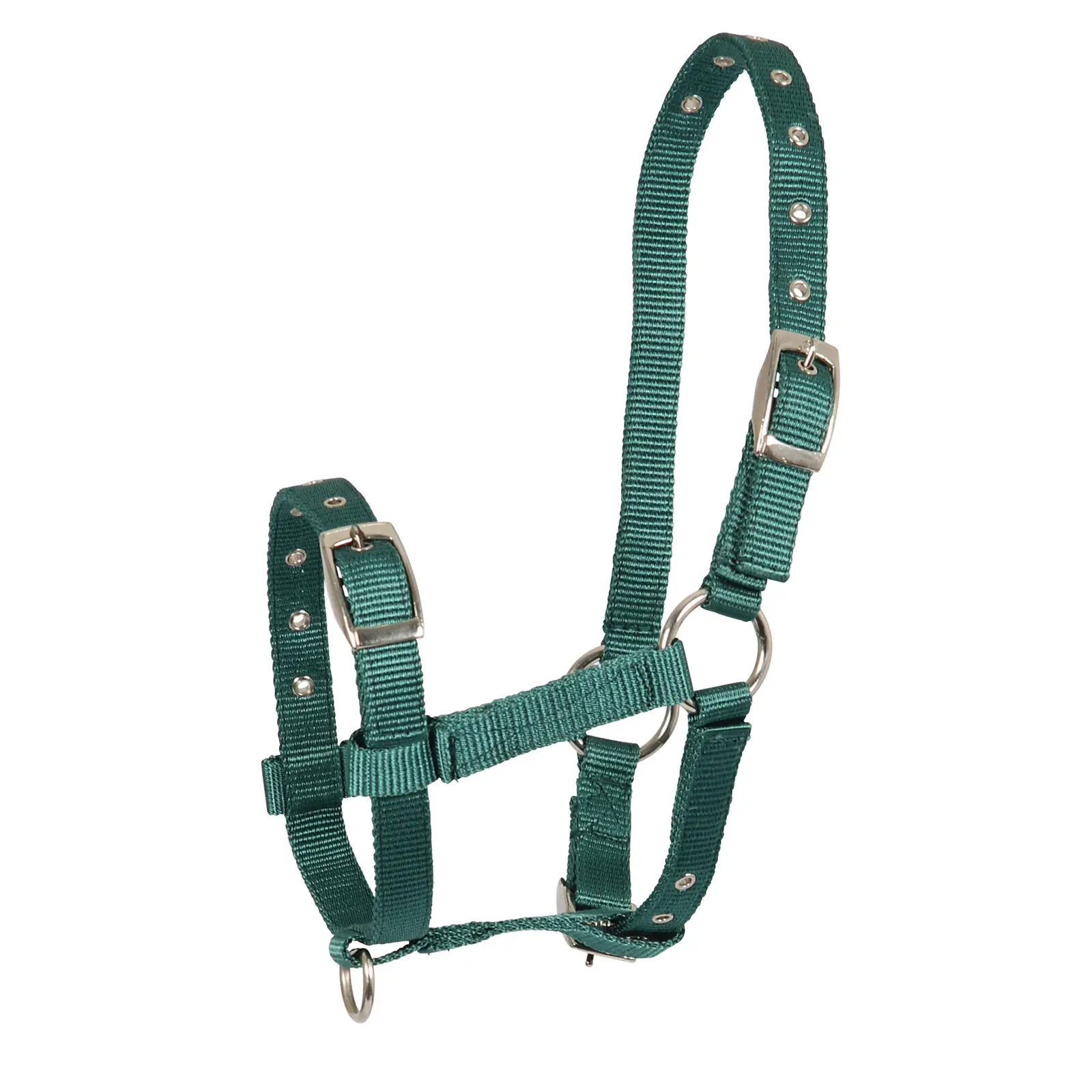 Halter Triple for Foals