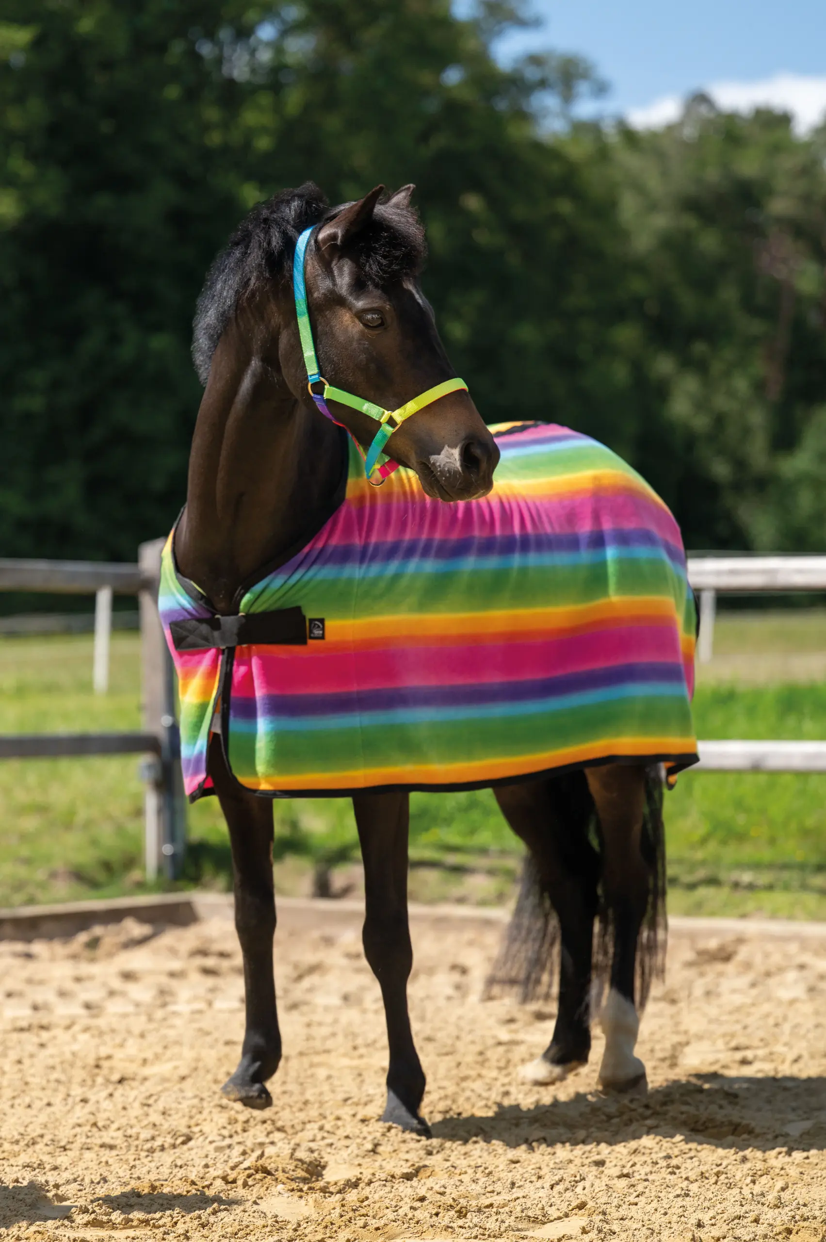 Abschwitzdecke -Rainbow- für Shettys