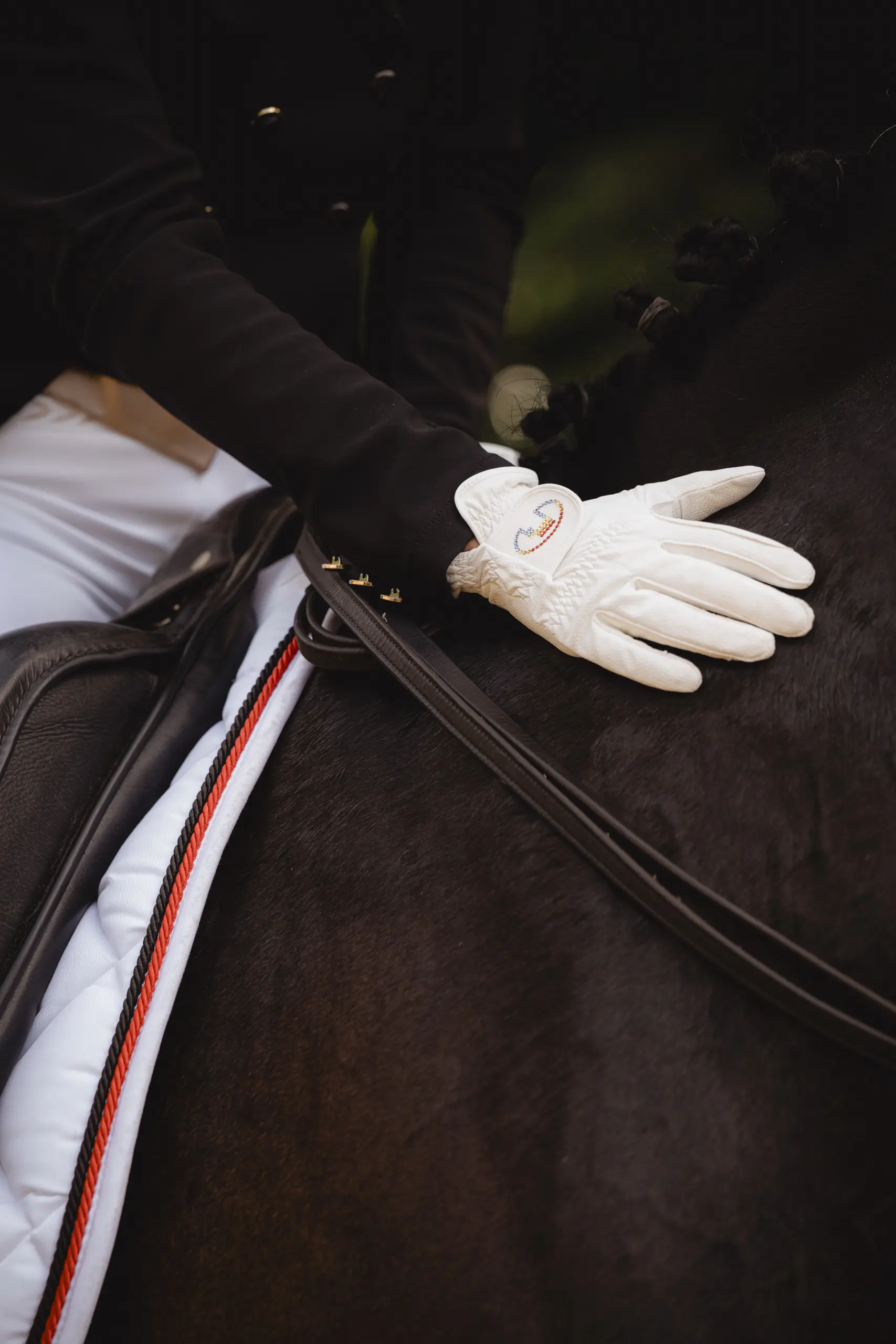 Unisex riding gloves MARNE