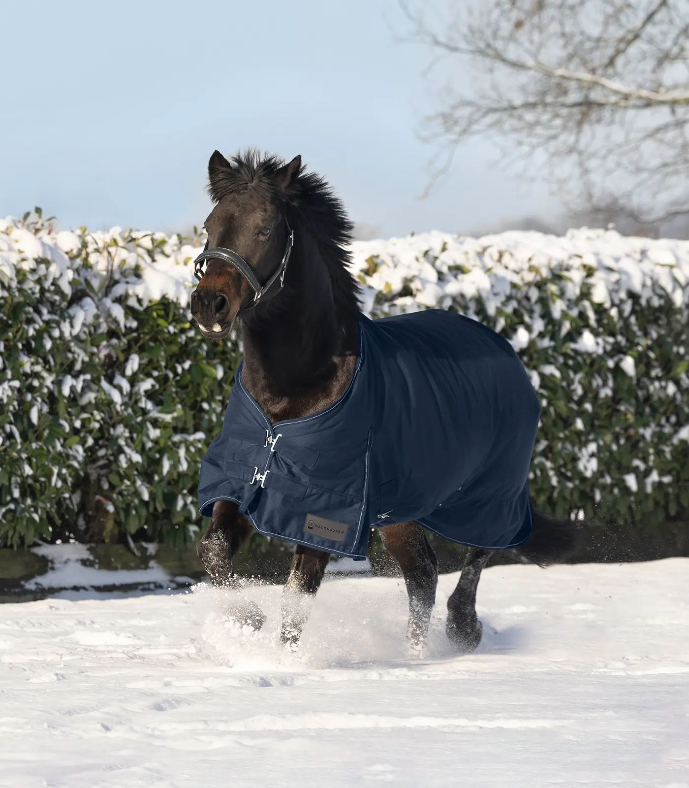 NORDIC Turnout Rug, 200 g