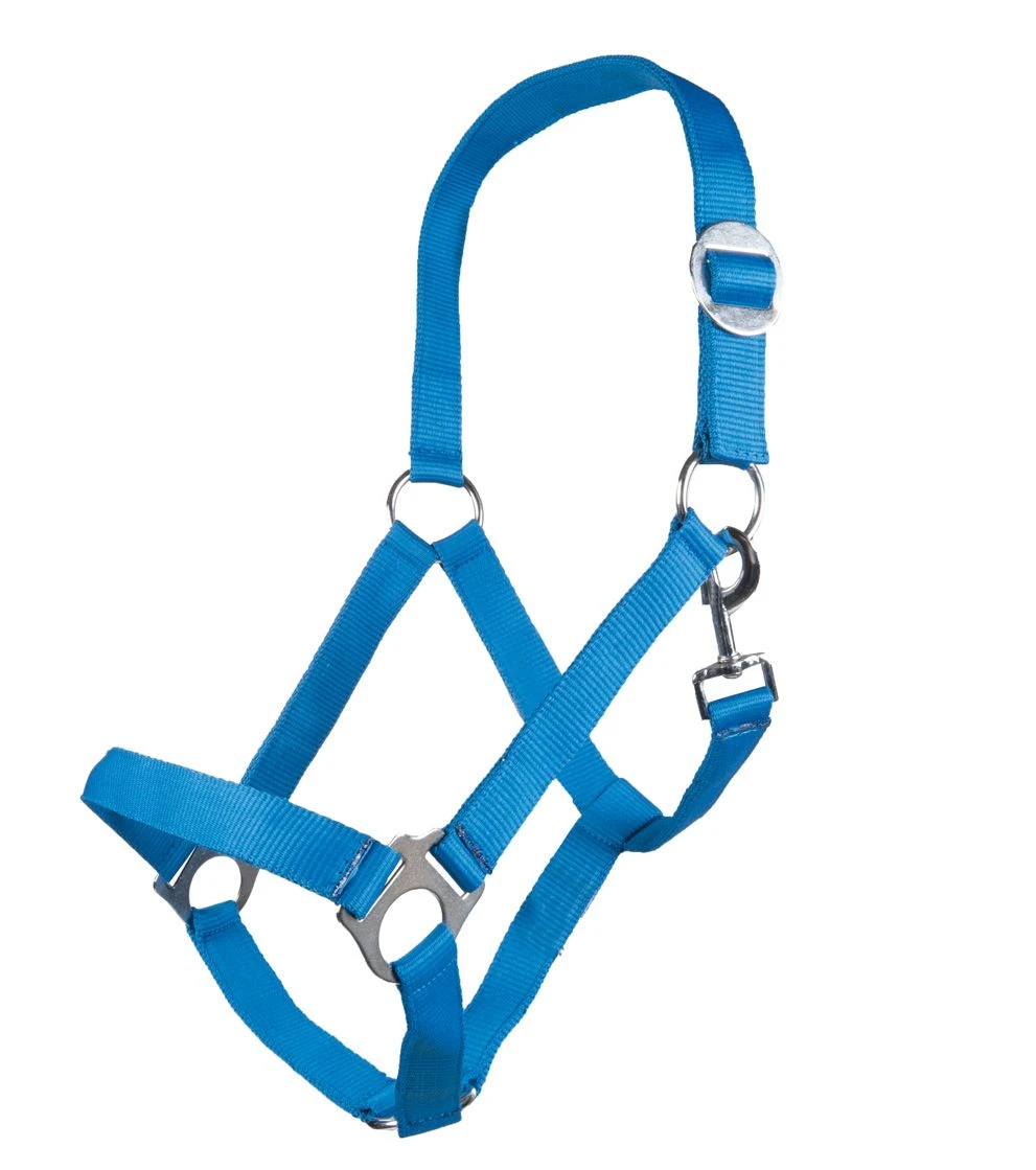 HKM Head collar -Stars Economy Softice-
