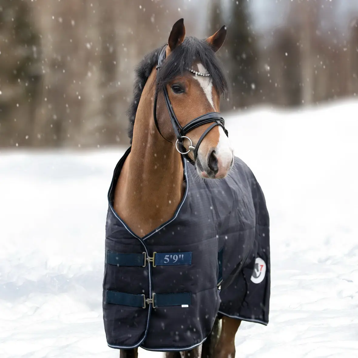 Stable blanket 600D with 400 GSM Polyfil