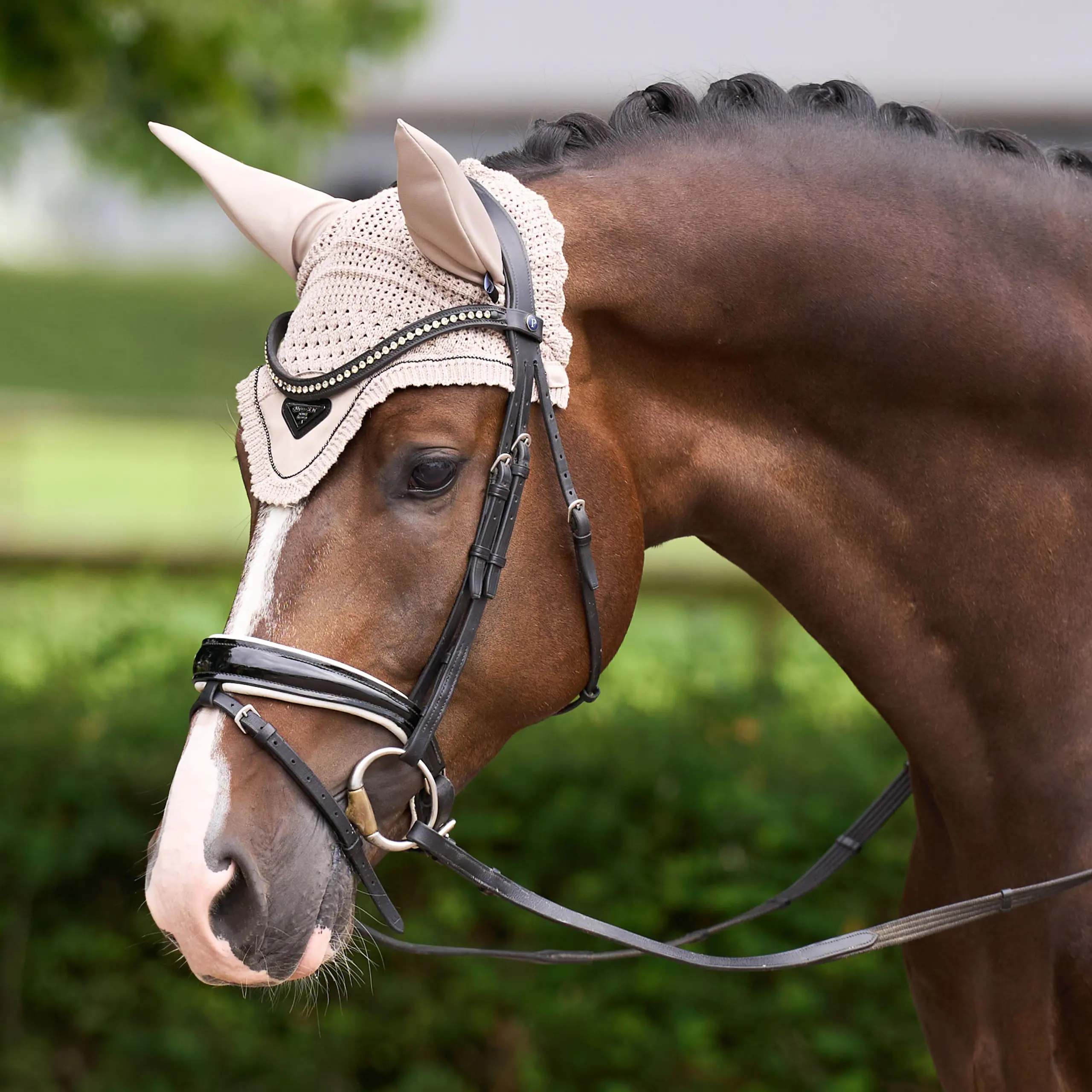 Fly veil ESCato