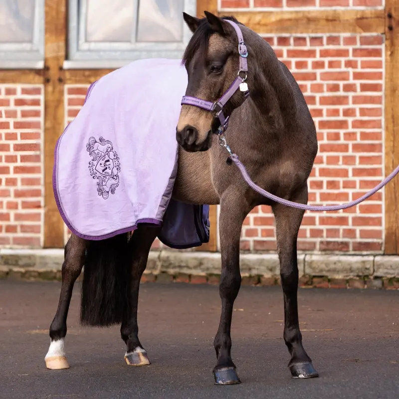 Fleece - Abschwitzdecke "Unicorn Academy" mit Kordel
