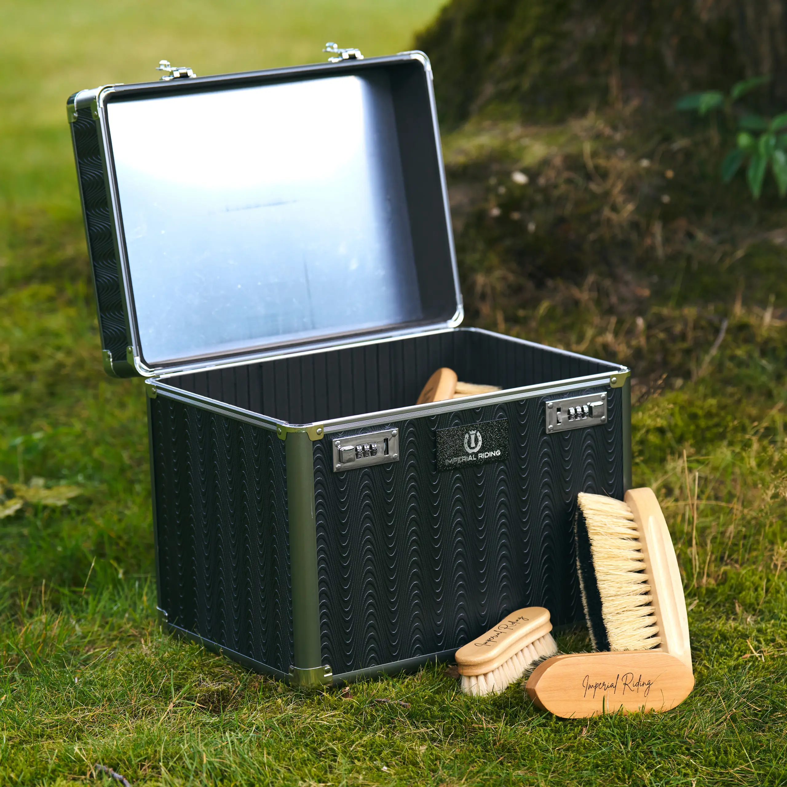 Putzbox IRHShiny Sommer 2026