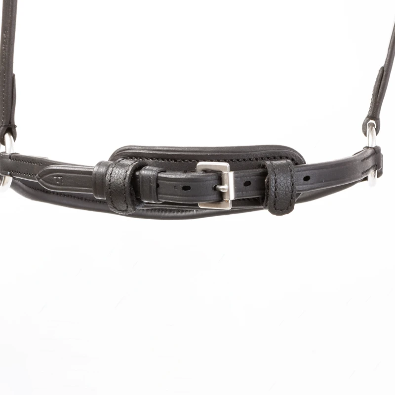 bridle oiled leather EVERANA hann.