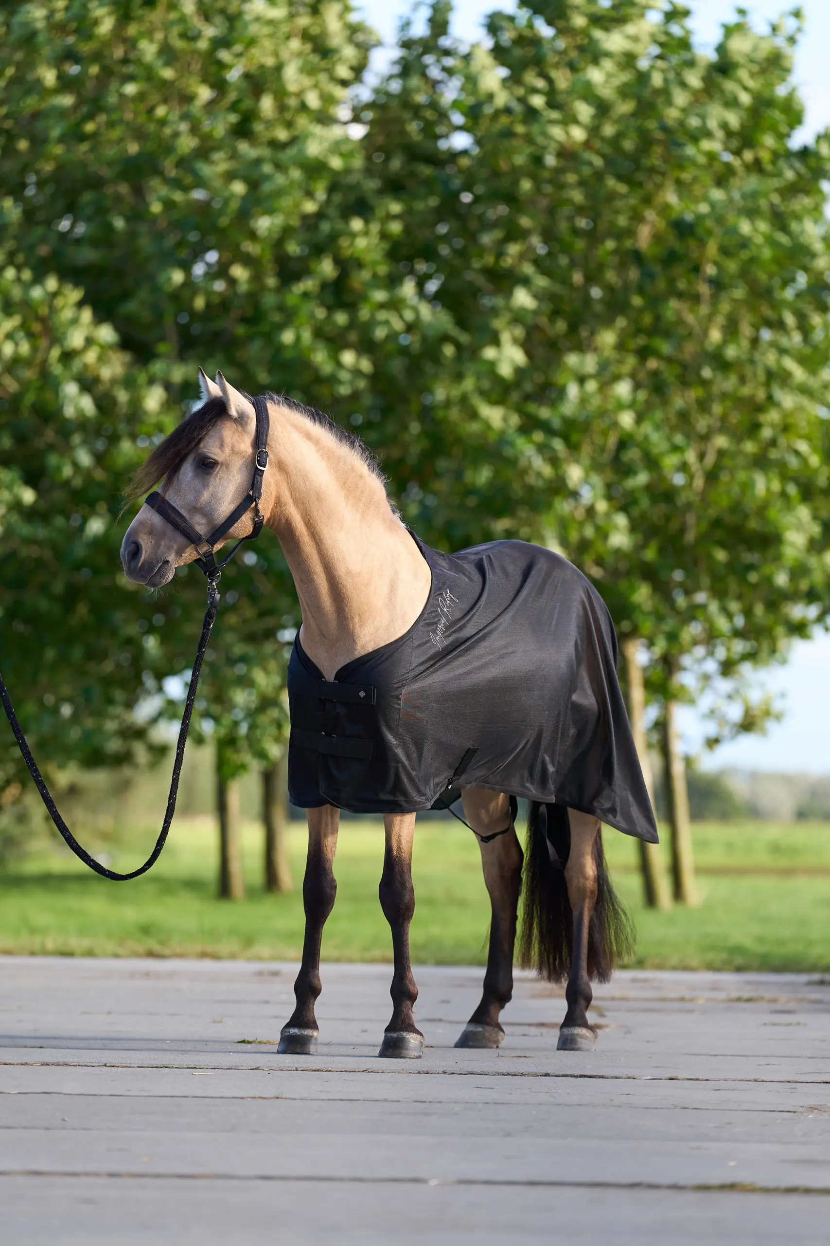 Transport blanket IRHMesh summer 2025