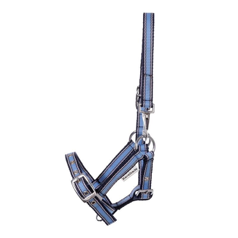 nylon Foal/Yearling halter