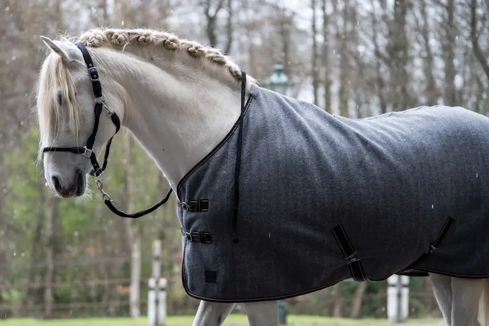Abschwitzdecke -Melange II-