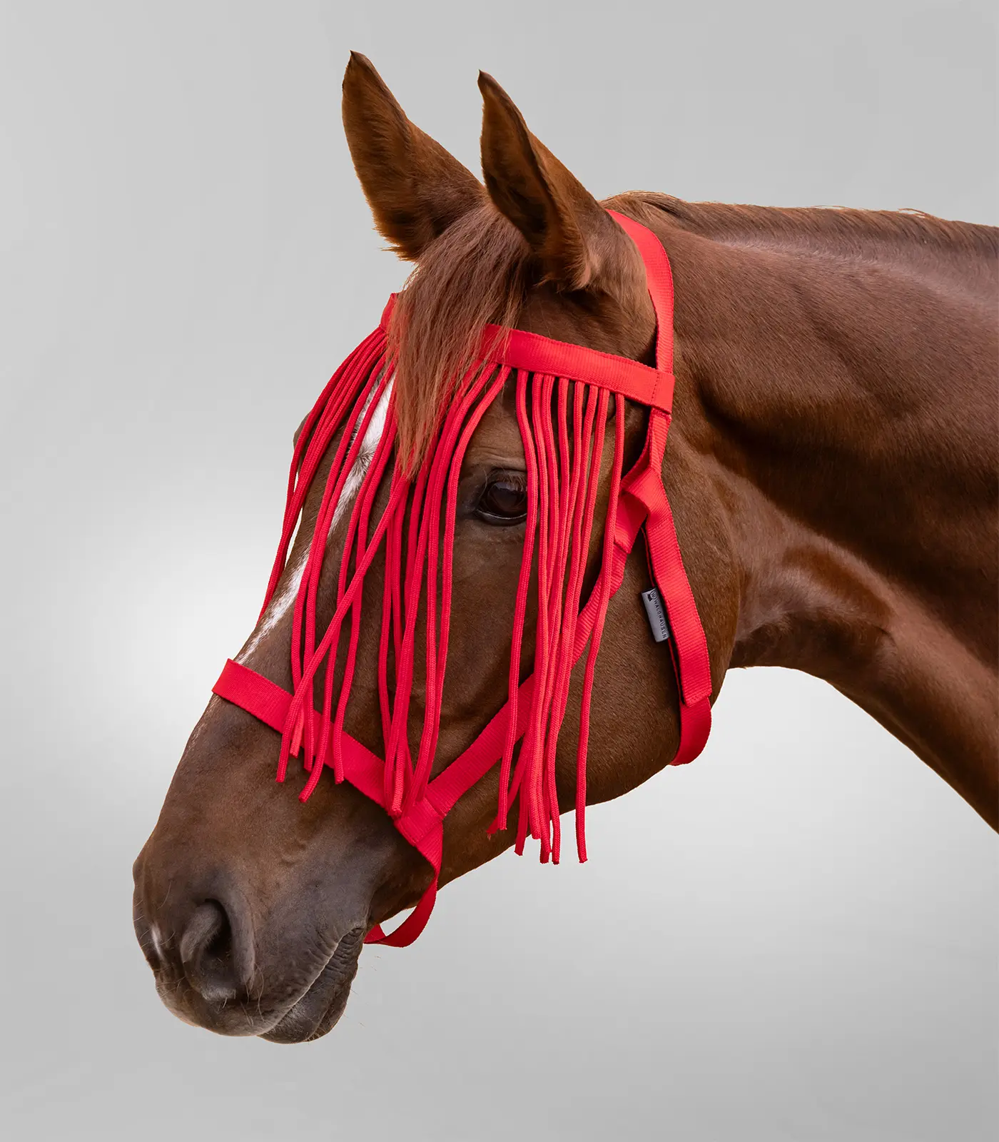 Pasture halter with fly fringes