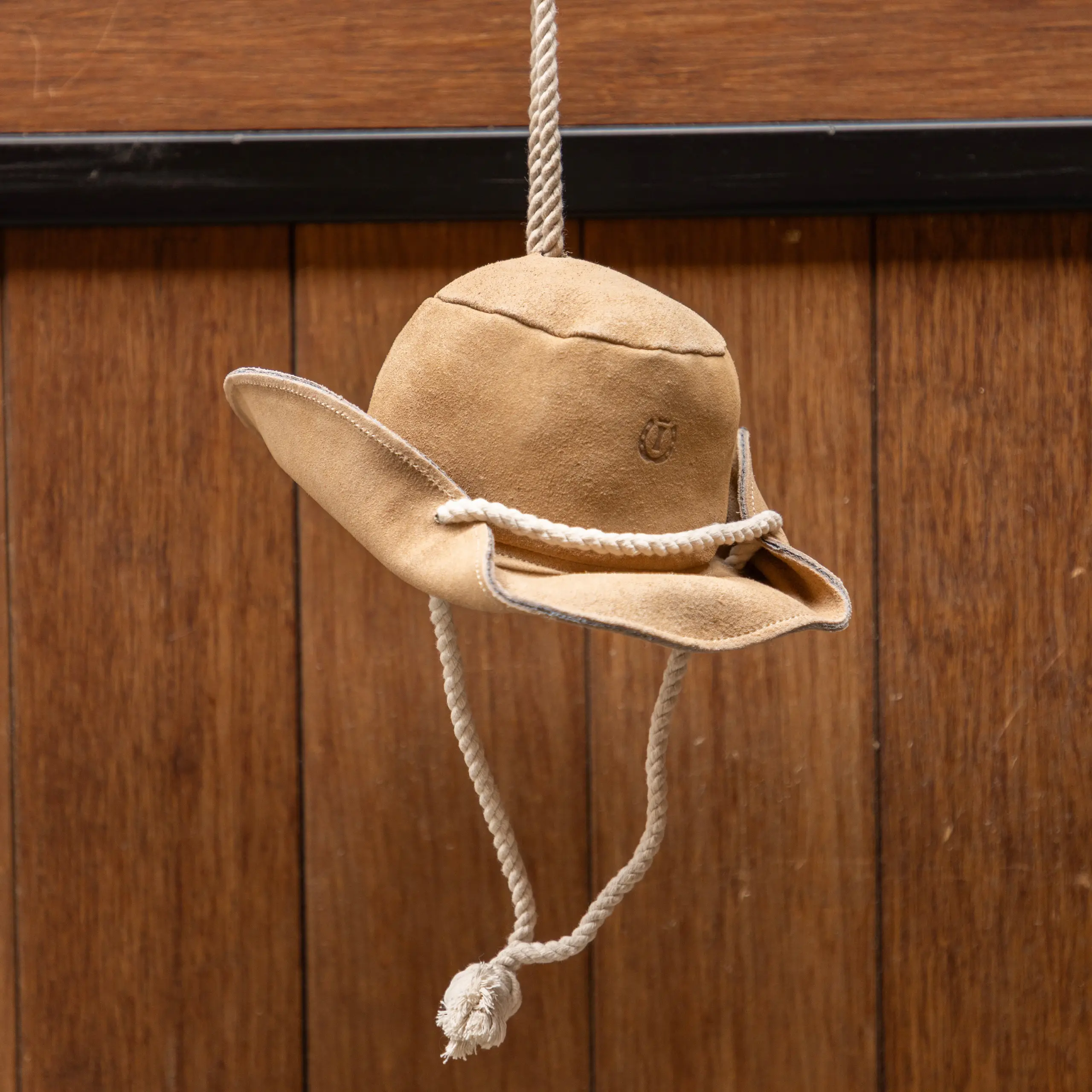 Stable buddy IRHCowboy hat