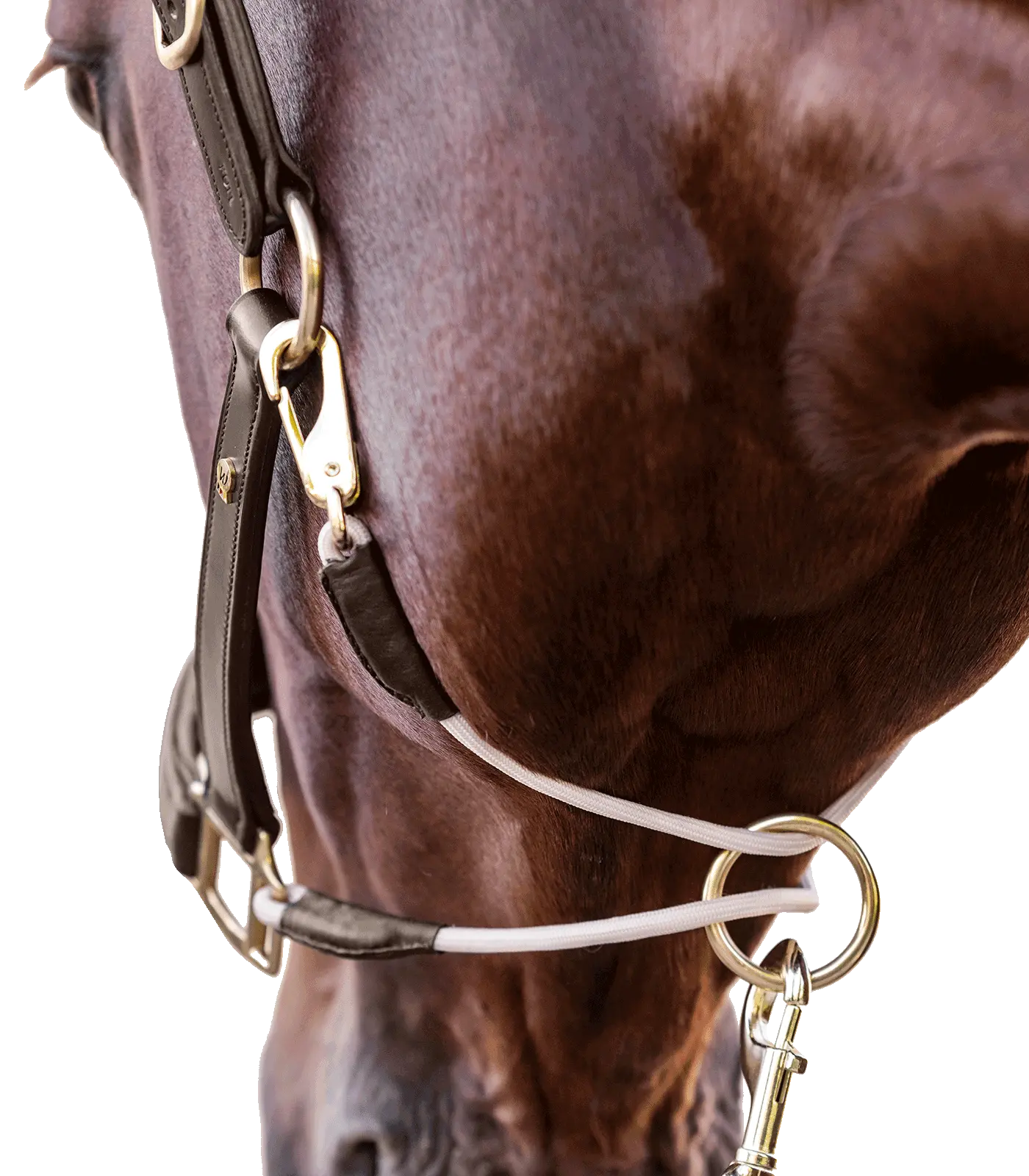 ROYAL Waldhausen S-Line leather halter