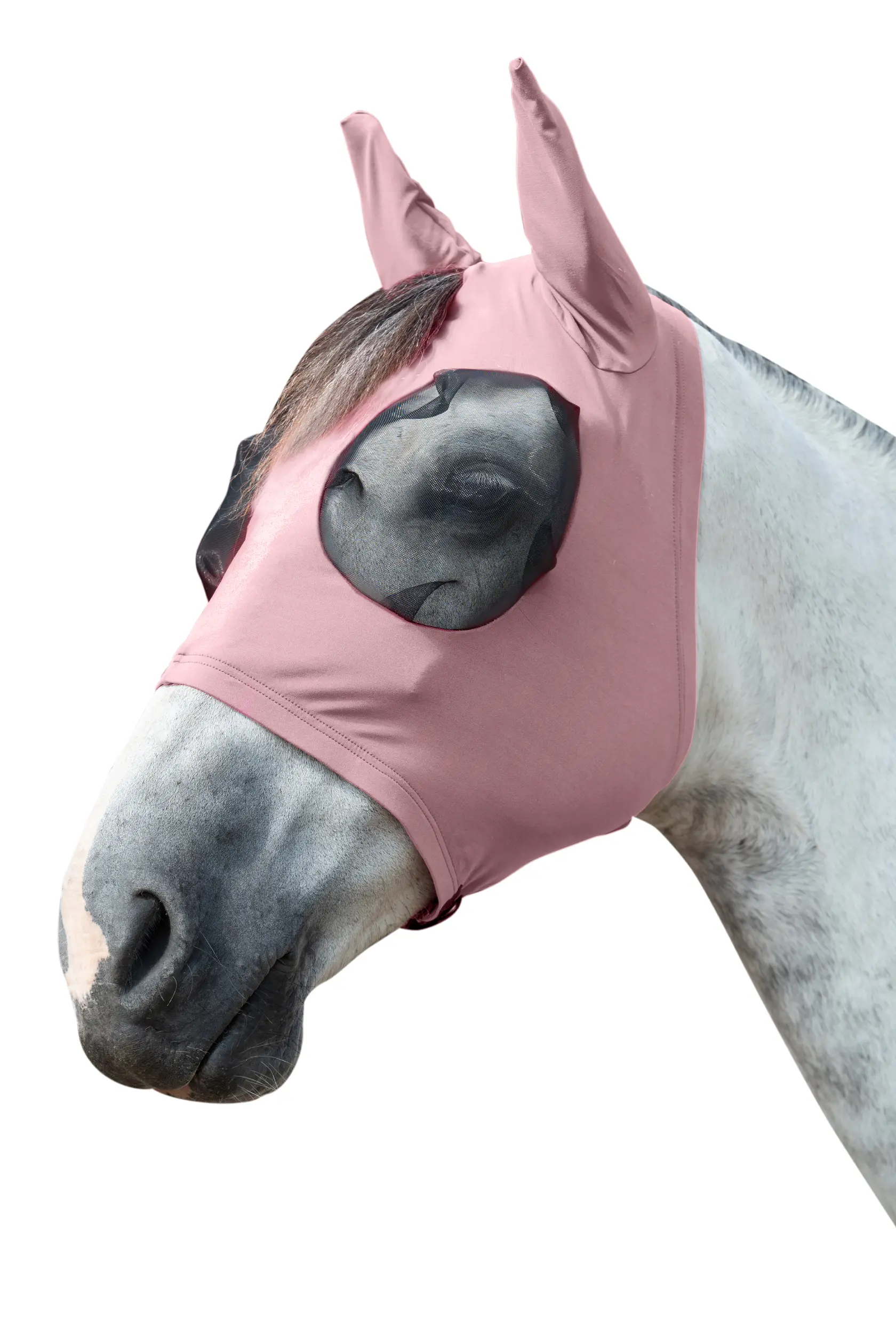 Anti fly mask ELASTIC summer 2026