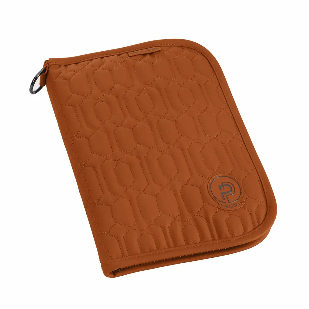 Passport Map FAUX LEATHER Platinum 2026