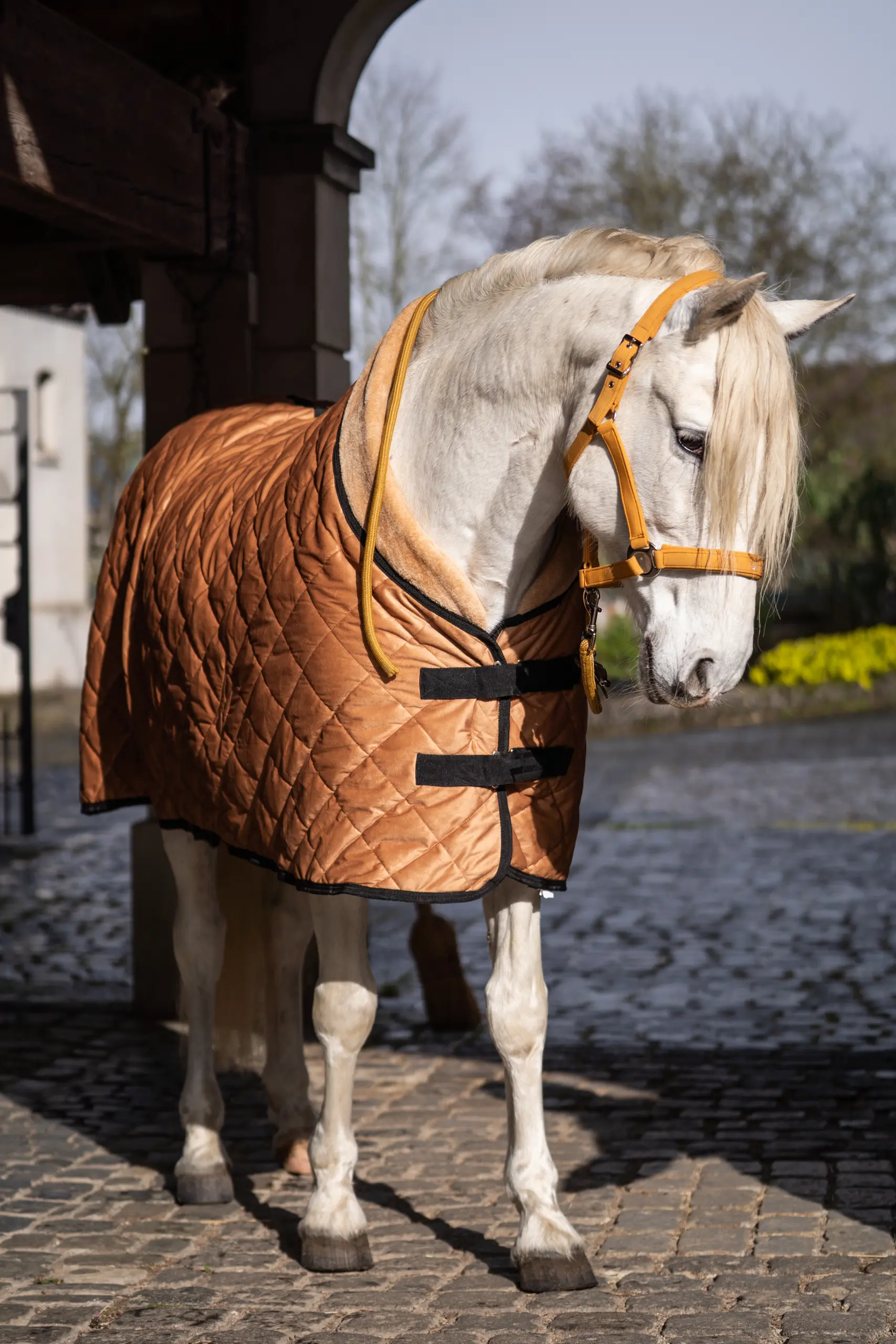 Stalldecke -Montalcino-