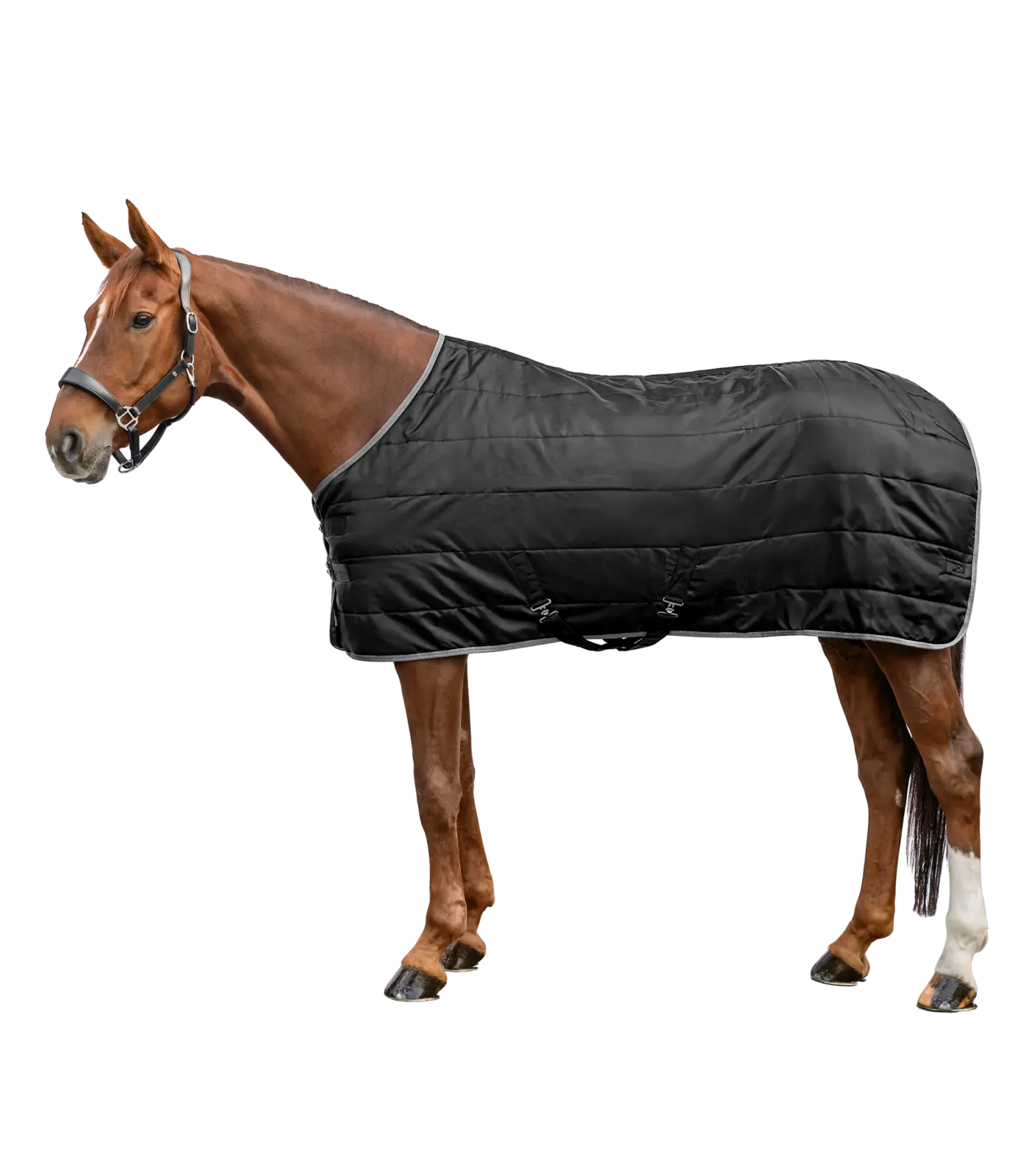 Stalldecke ECONOMIC, 300g