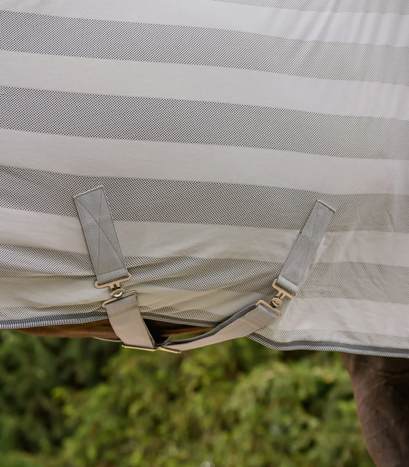 Fly blanket Economic