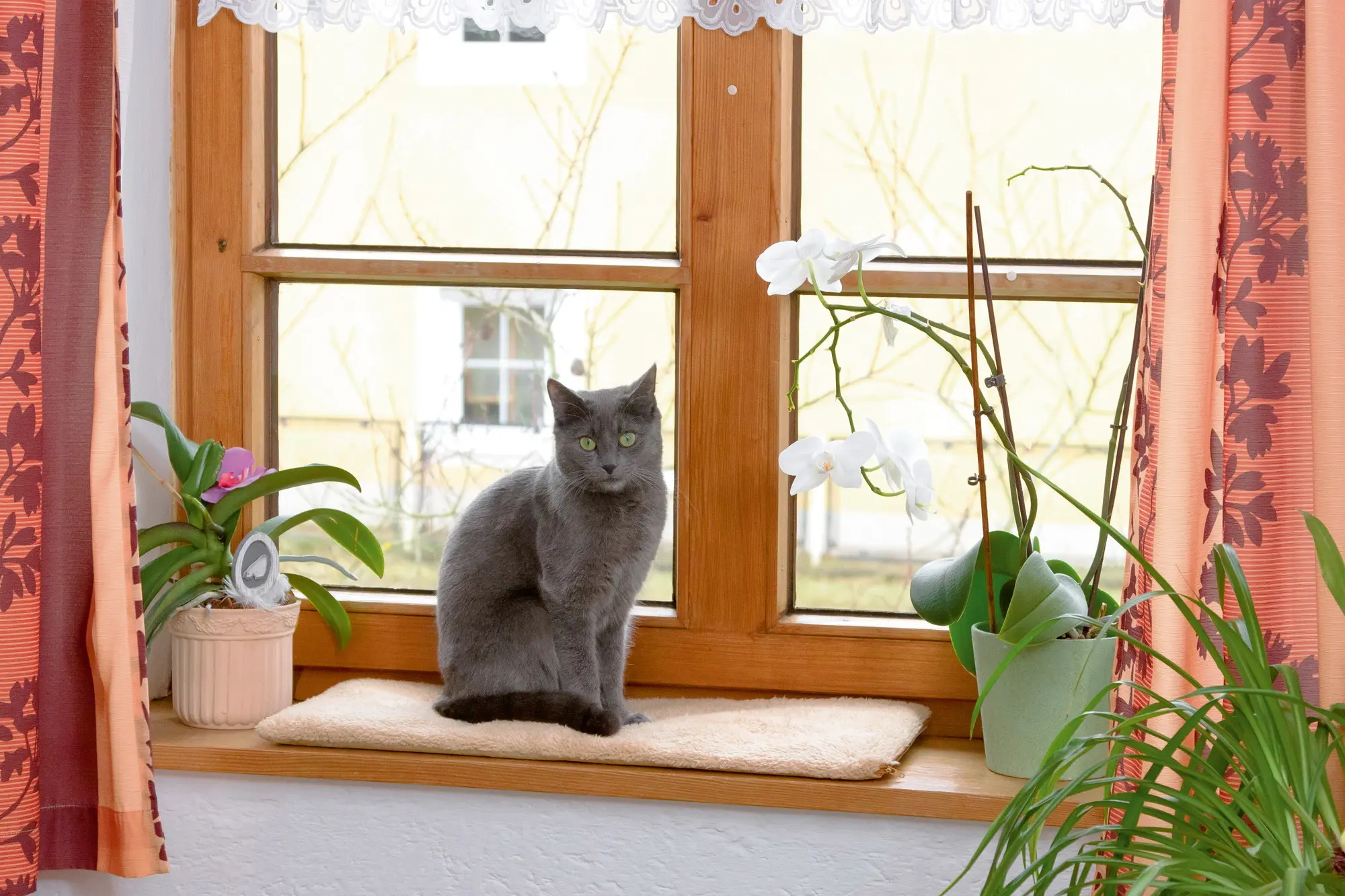 Window Cushion 60x26x2cm Self-Warming