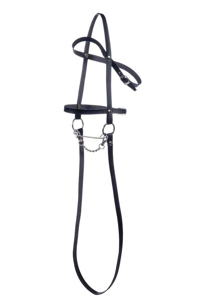 Hobby Horse