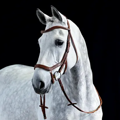 BUSSE Anatomical Noseband TAKE-OFF LINE AN