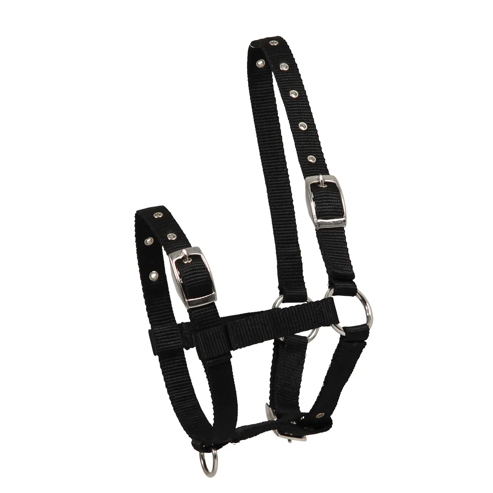 Halter Triple for Foals
