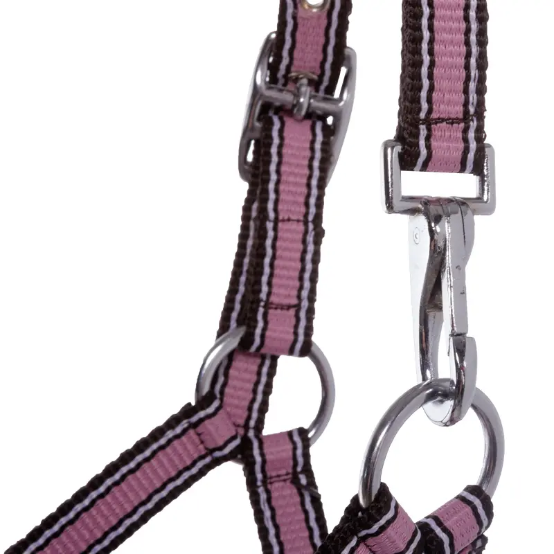nylon Foal/Yearling halter