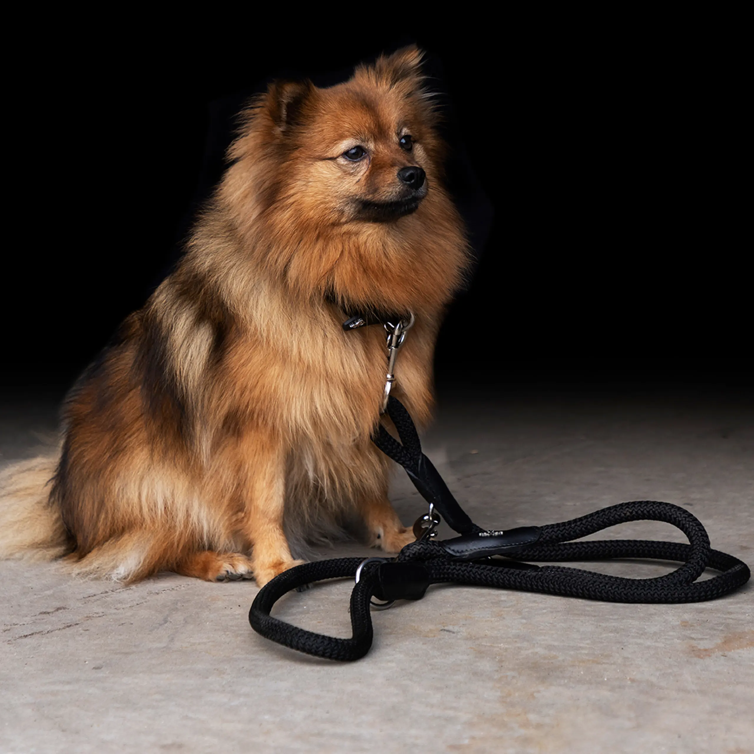 Dog Collar HVPFranka Rope Sommer 2026