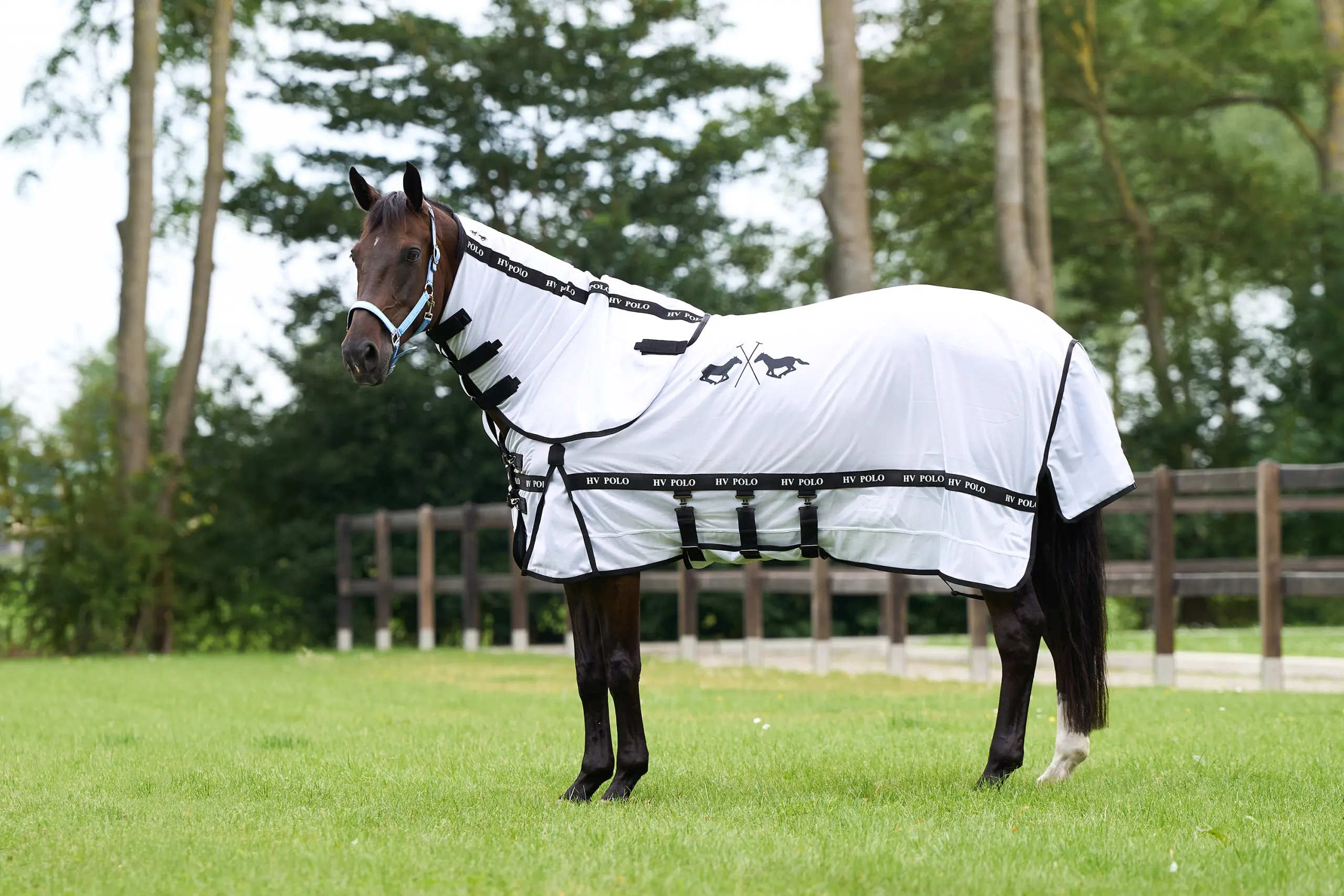 Fly blanket HVPNena Sommer 2026