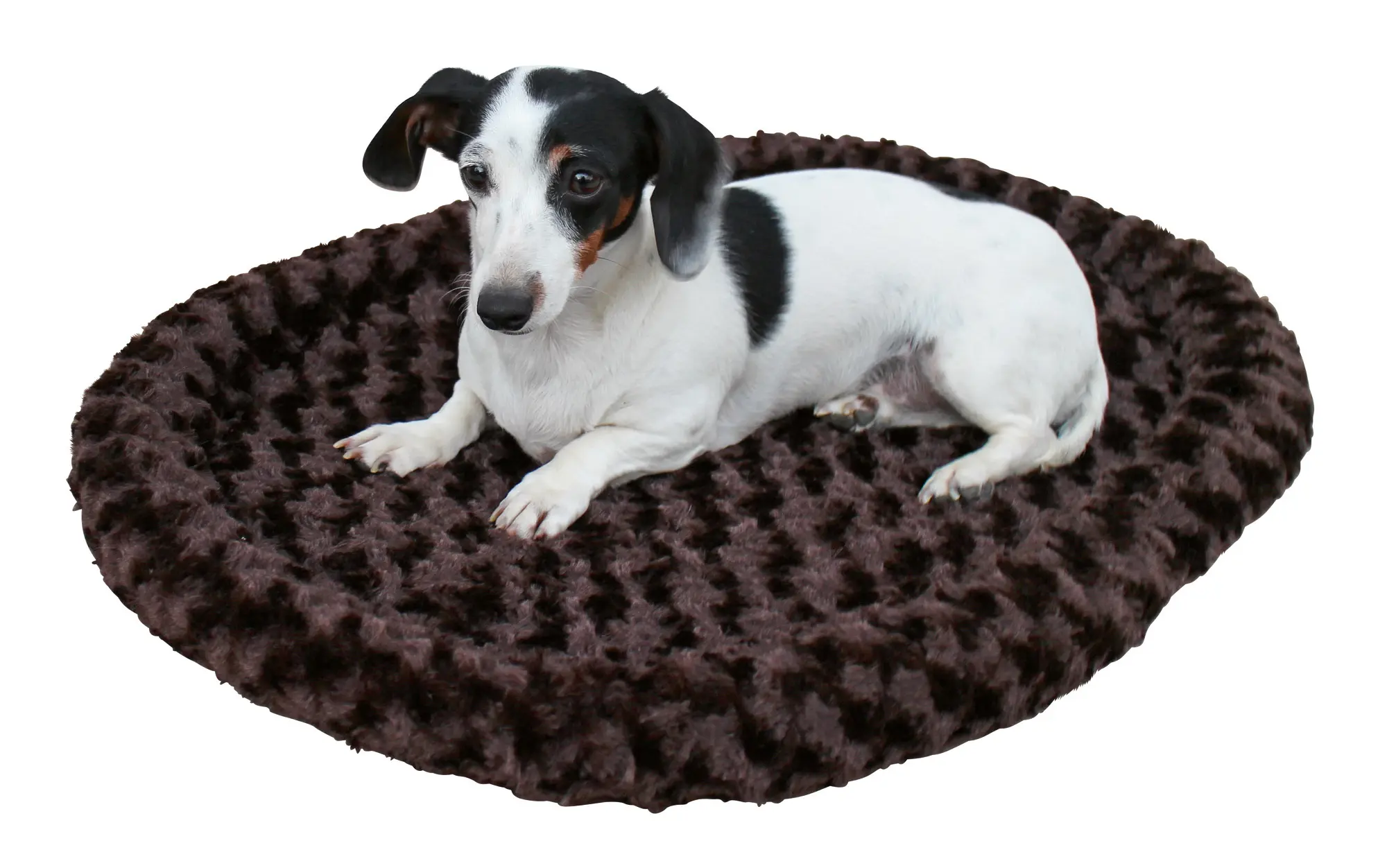 Cosy Bed