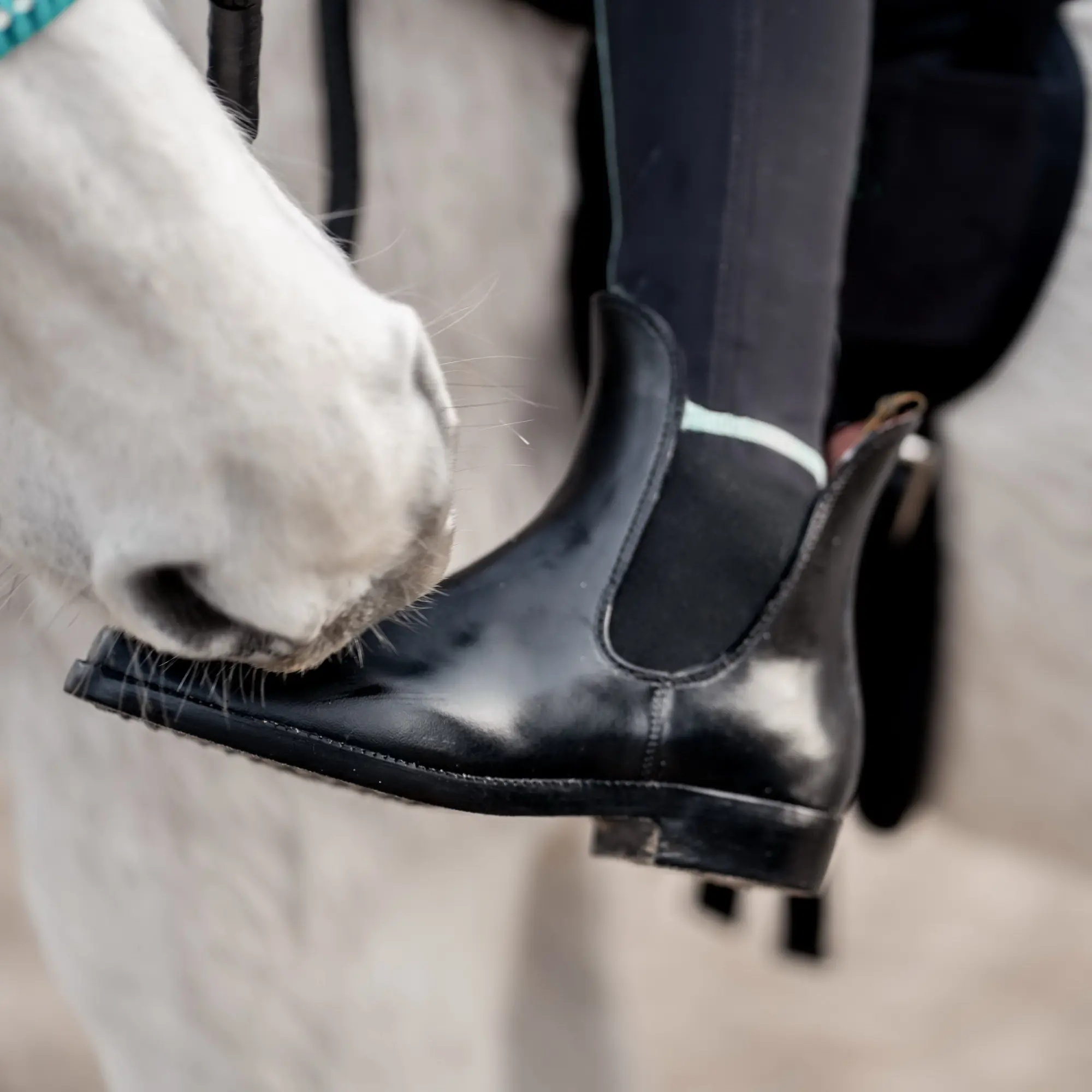 Pro Ride Stiefelette