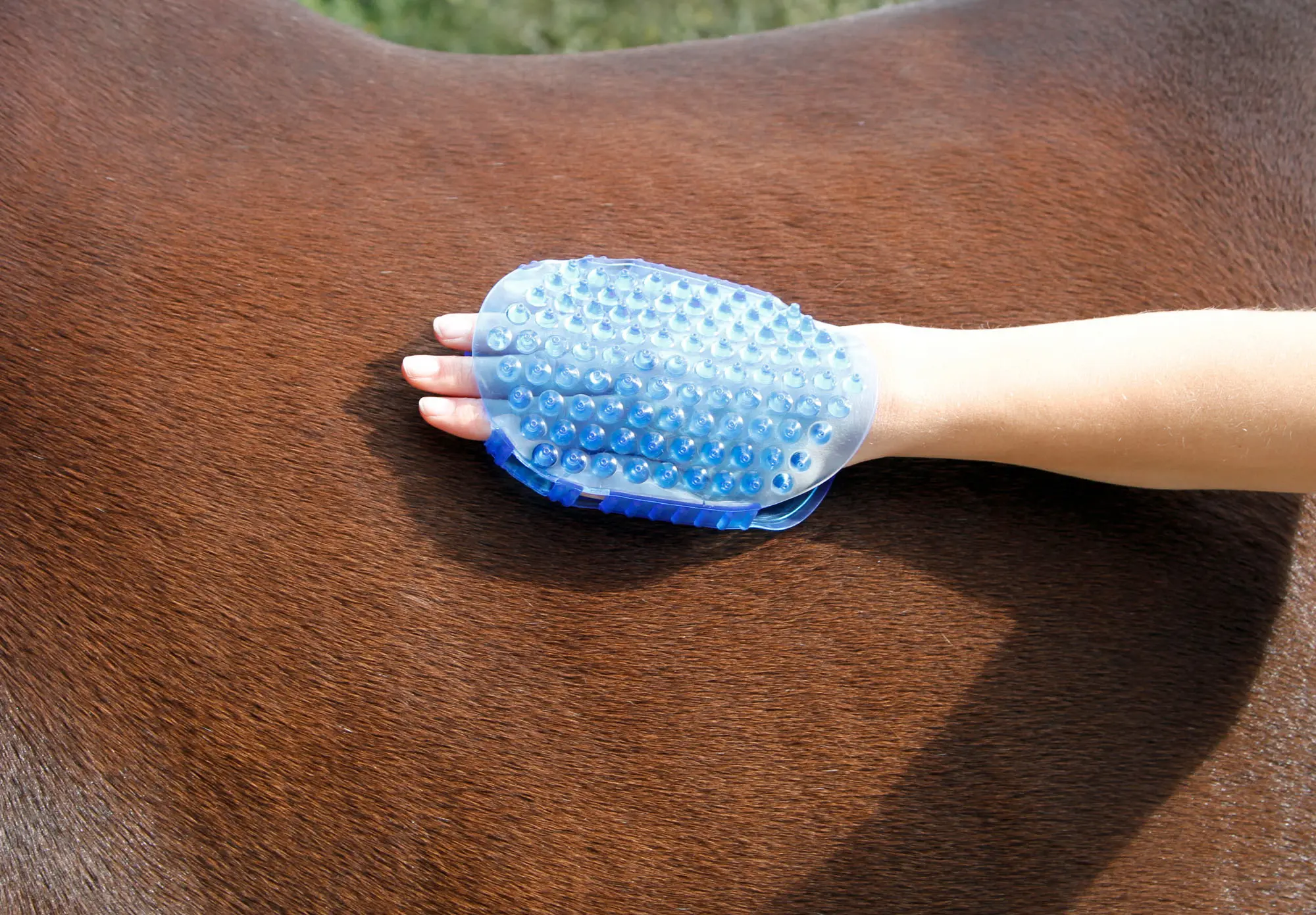 Magnet-Massage-Striegel