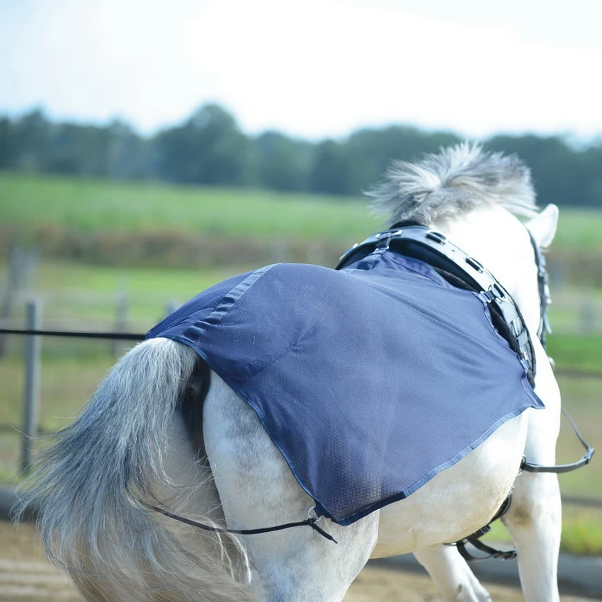 BUSSE Lunging Sheet FLY