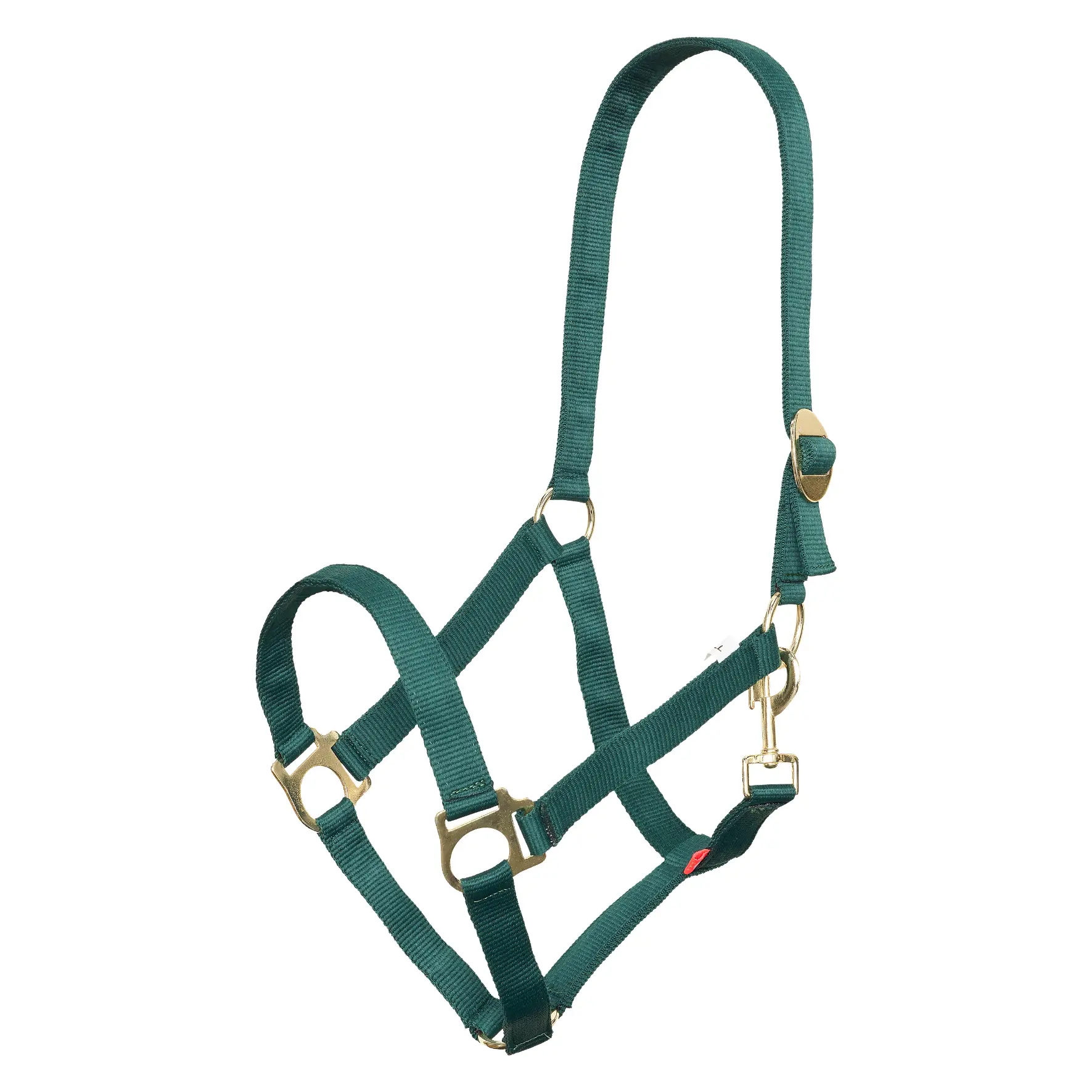 Headcollar IRHEconomic Summer 2026