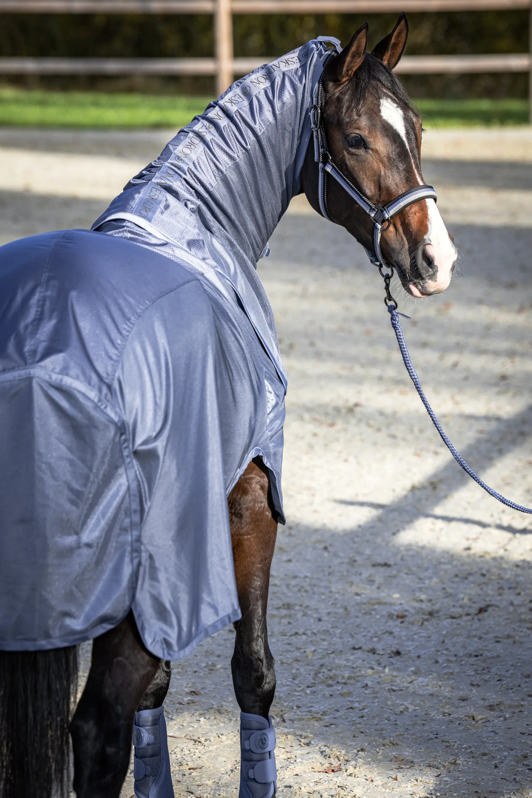 Regenfliegendecke RAIN FLY DETACH-NECK Platinum 2026