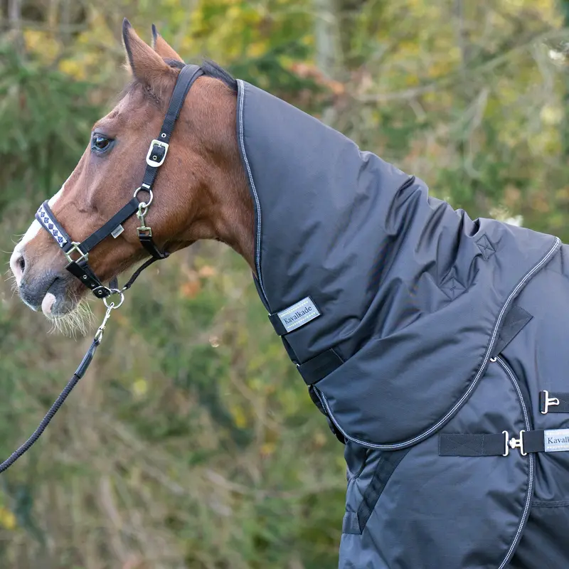 neckpiece "Halifax" 2in1 Turnout and walking machine rug
