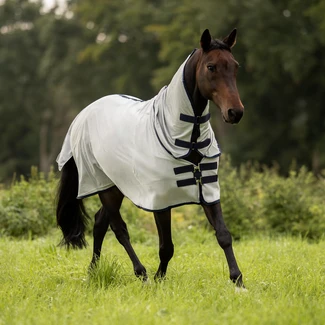 Outdoor-Fliegendecke COMFORT PRO