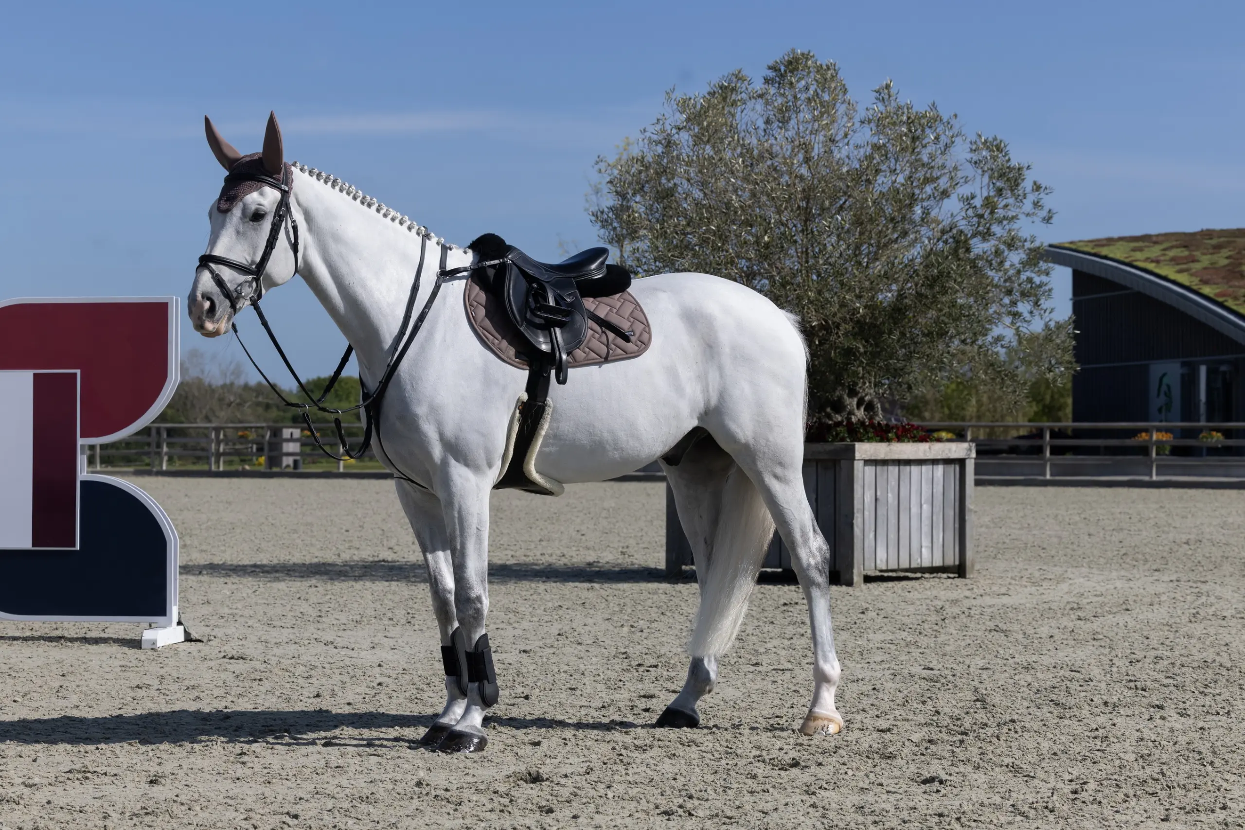 Jumping Saddle Pad KLLexie summer 2026