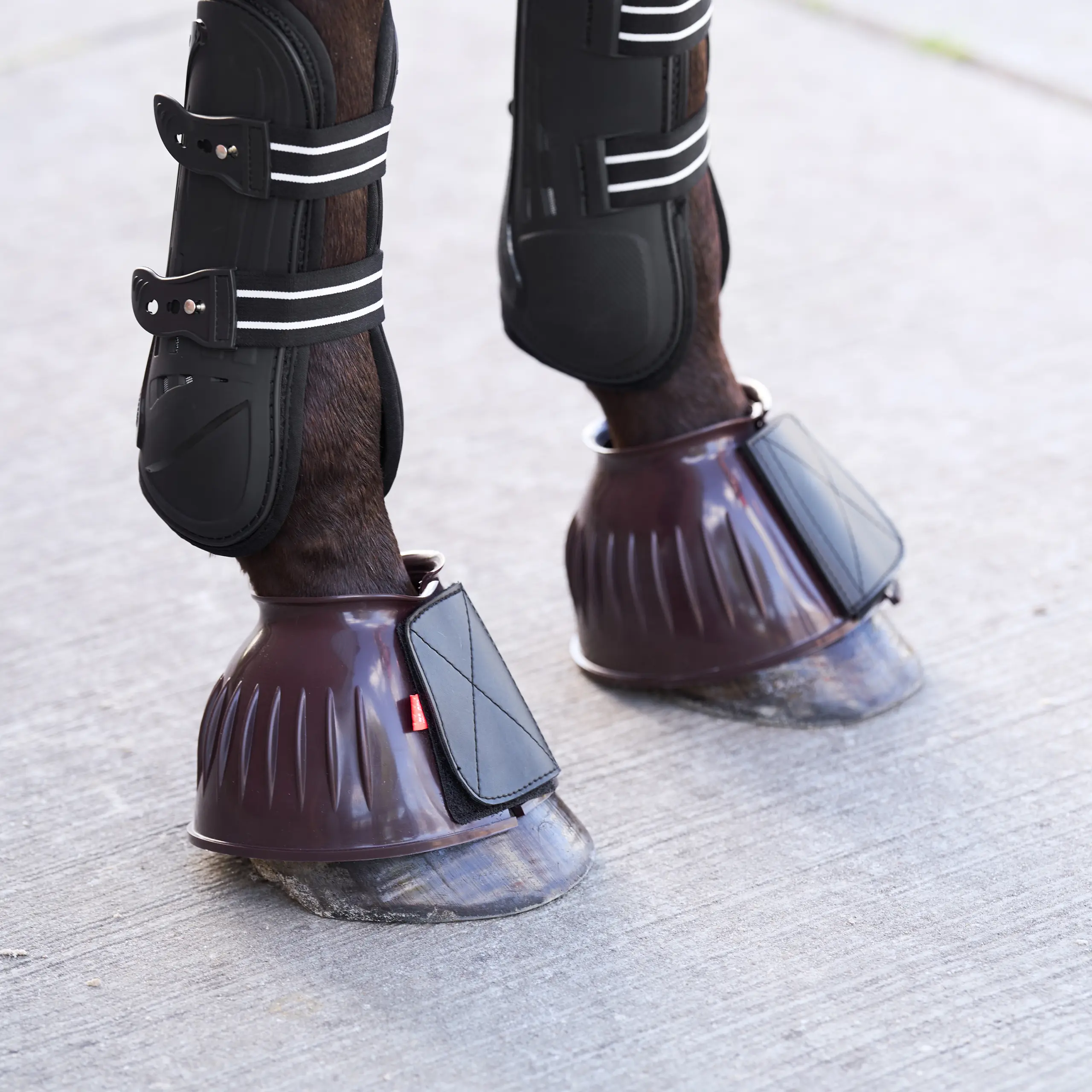 Hufglocken IRHBells PVC Sommer 2026