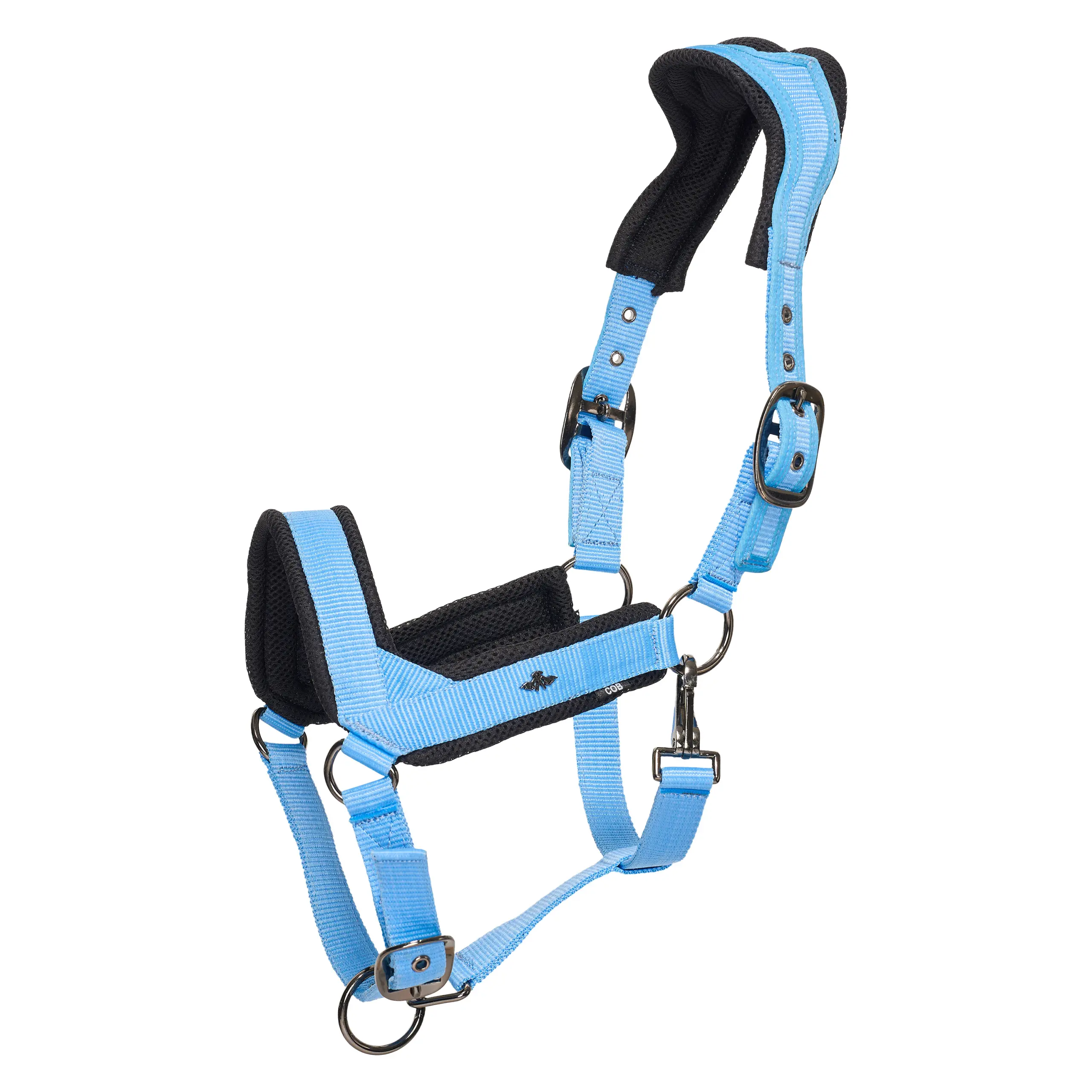 Headcollar HVPEsther Sommer 2026