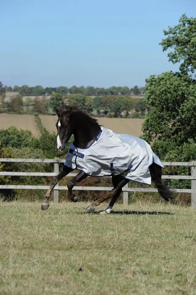 BUCAS Sun-Shower rug
