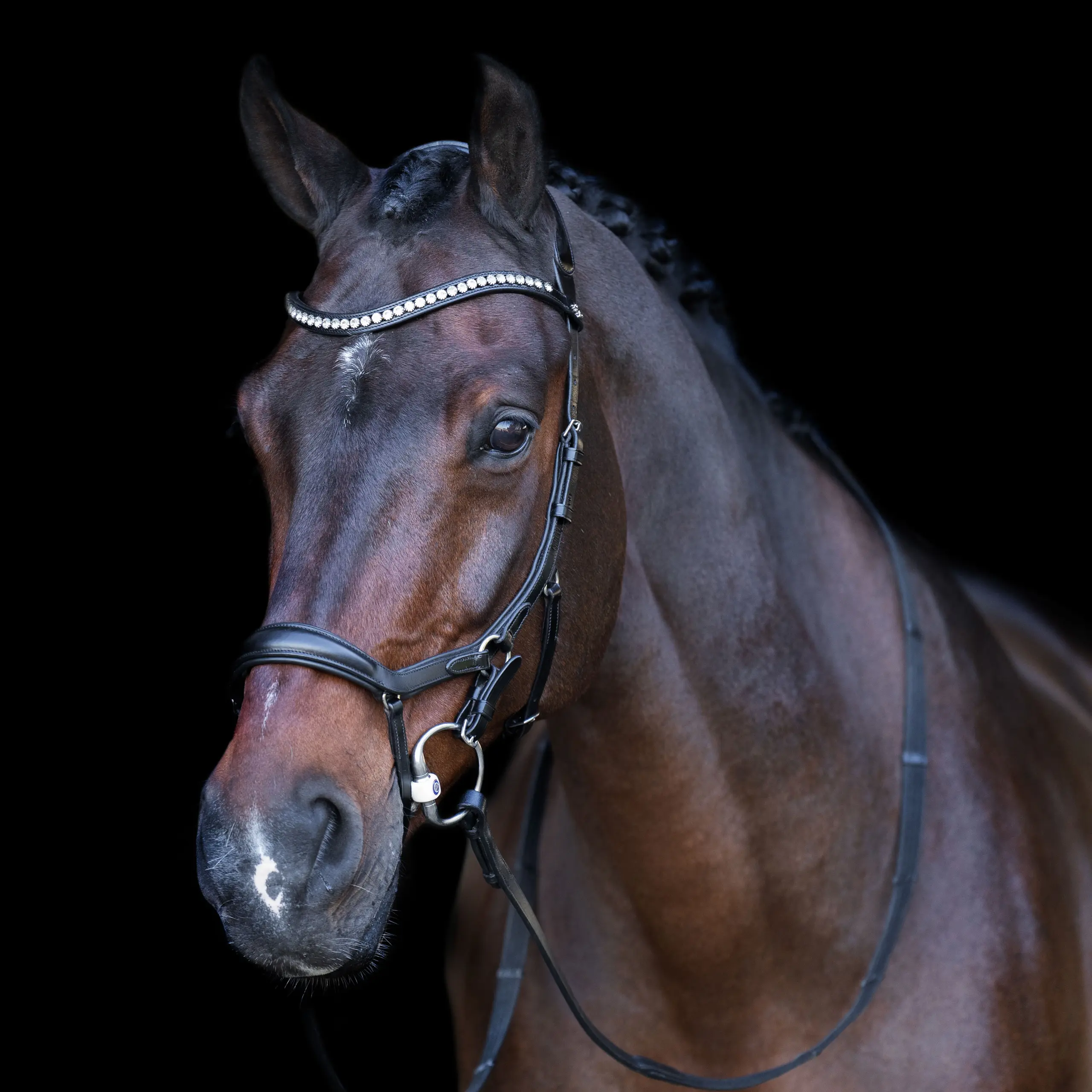 Trense HVP-Legacy Anatomisch deluxe