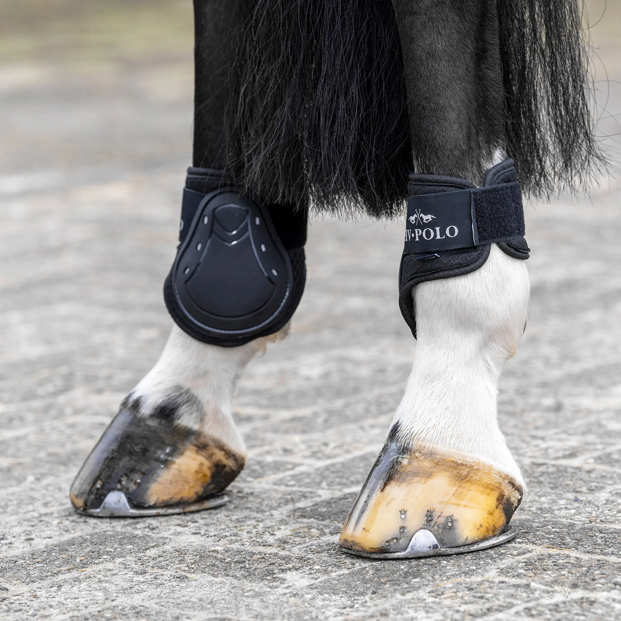Gamaschen und Streichkappen HVPClassic Sommer 2026