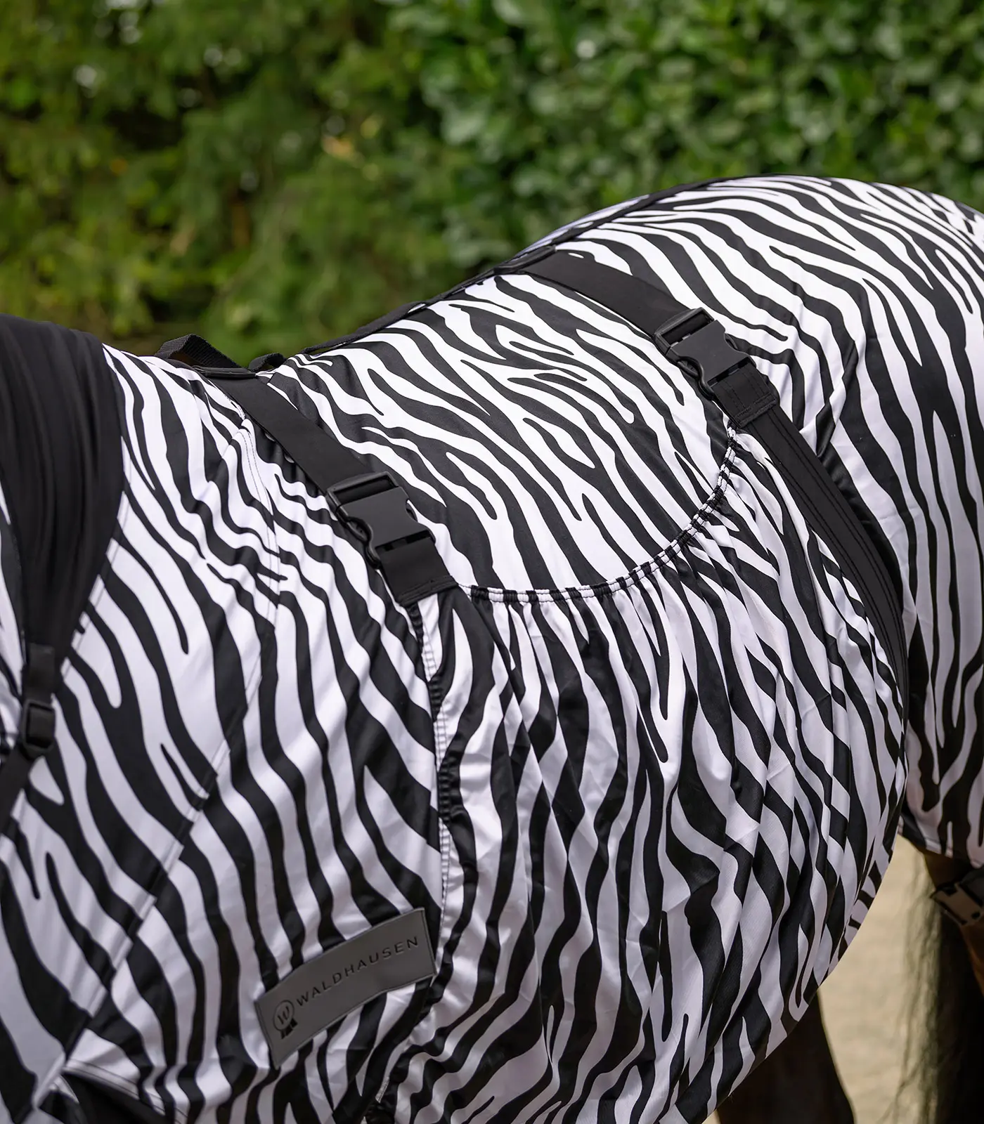 Ekzemdecke ZEBRA