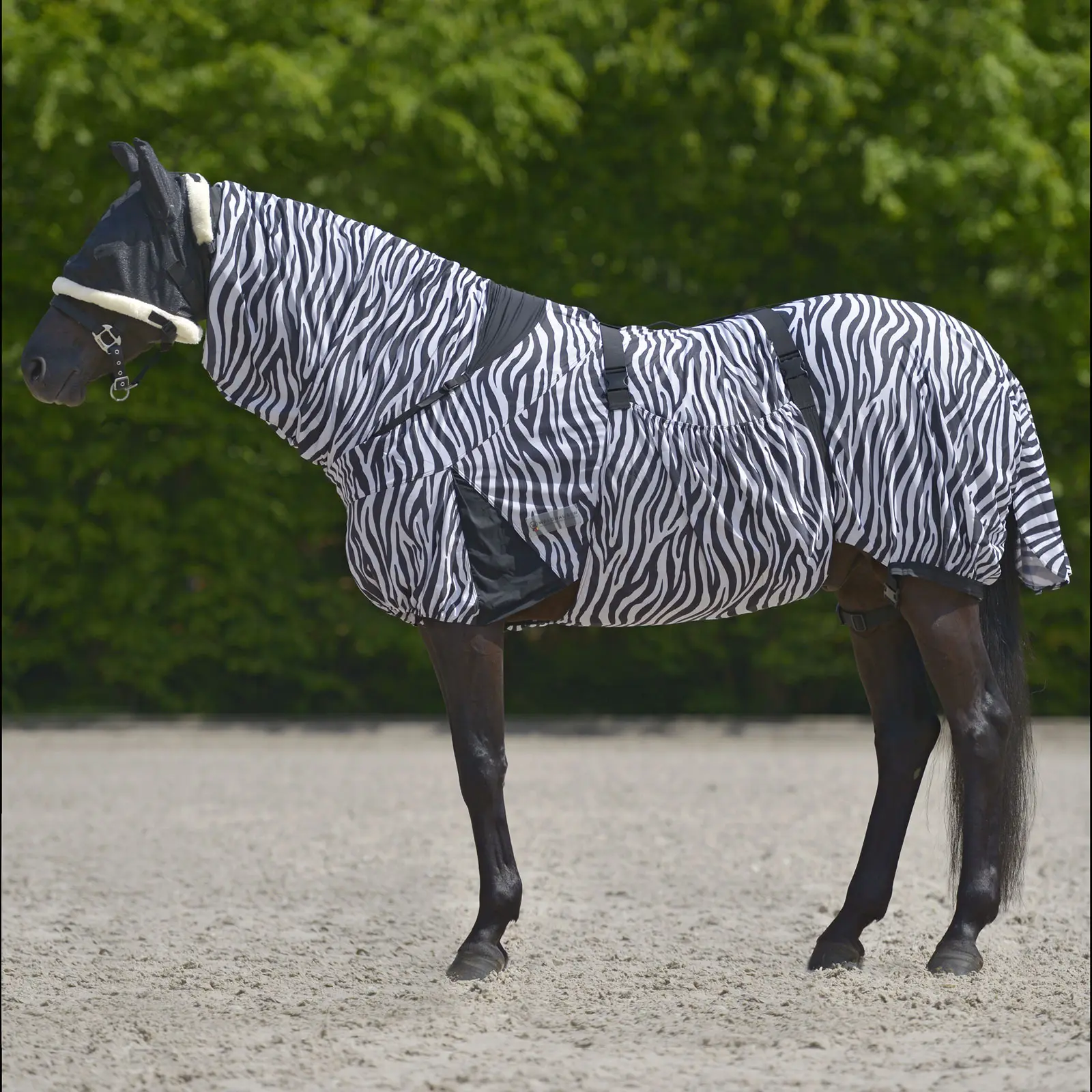Ekzemdecke ZEBRA