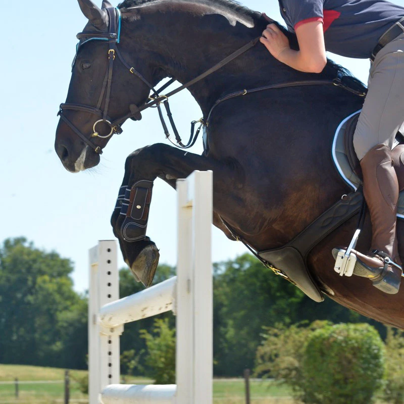 KAVALKADE Studguard