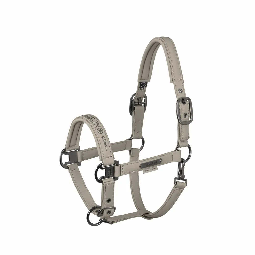Halfter SPARKLE DOUBLE PIN Platinum 2026