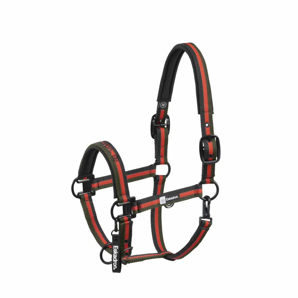 Halfter DOUBLE PIN Dynamic 2025
