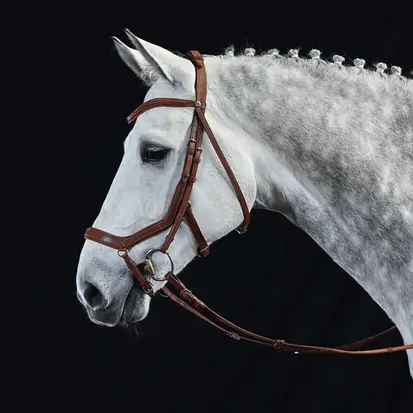 BUSSE Anatomical Noseband TAKE-OFF LINE AN