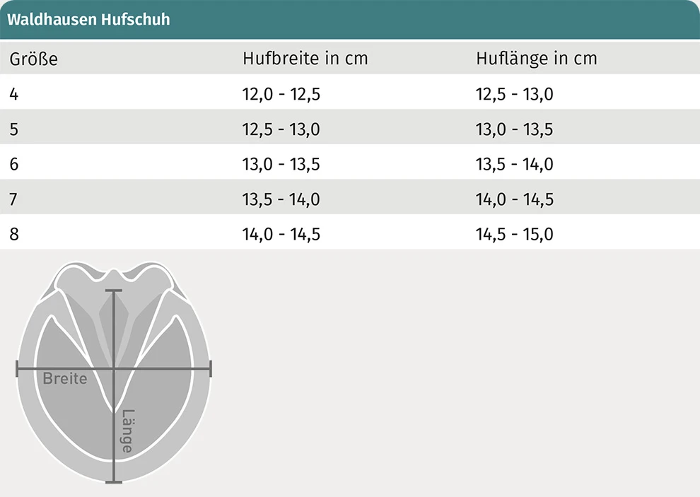 Hufschuh, Stück